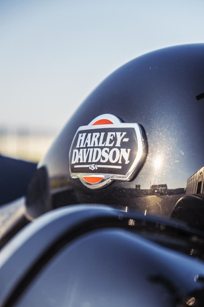 Harley Davidson door Siem Wigman